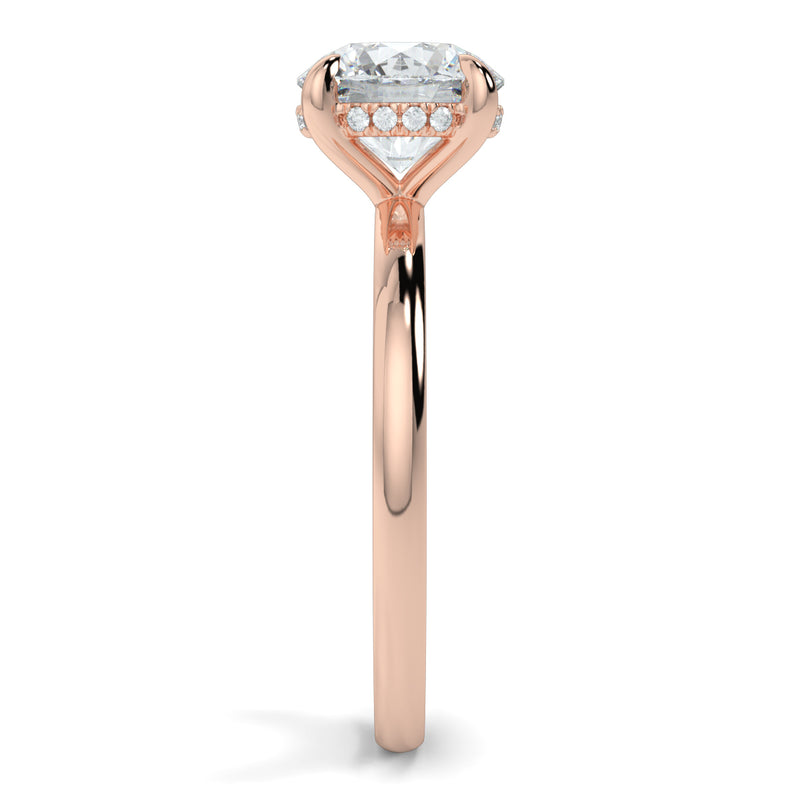 The Signature 4 Prong Hidden Halo Cathedral