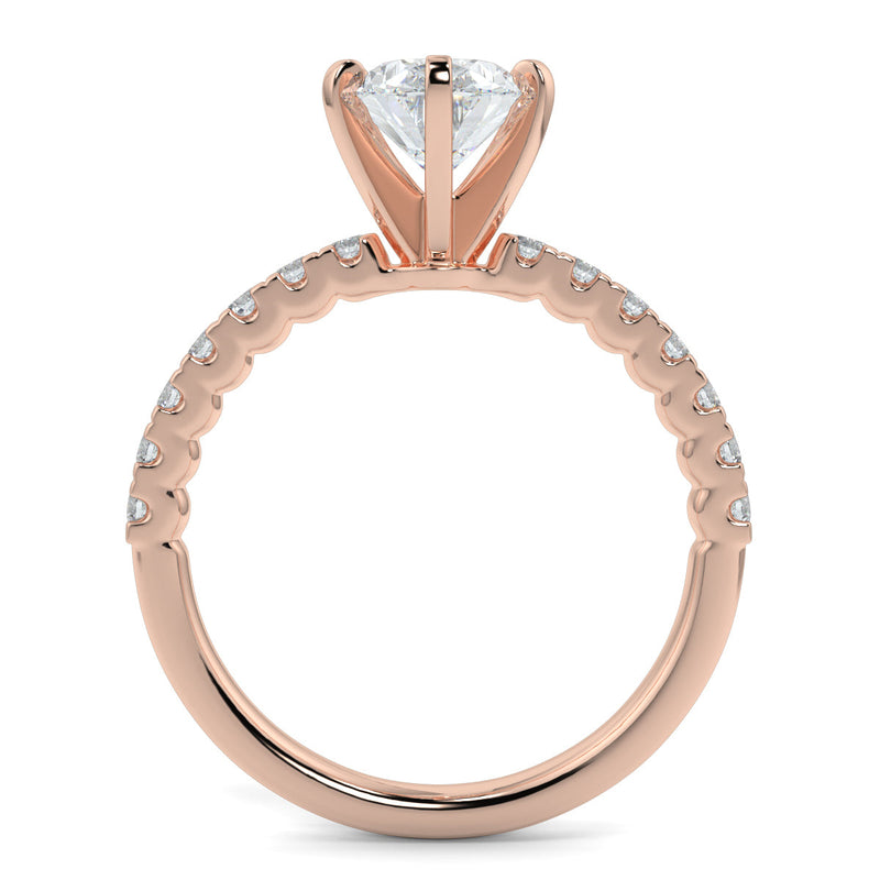 The 6 Prong Signature Statement