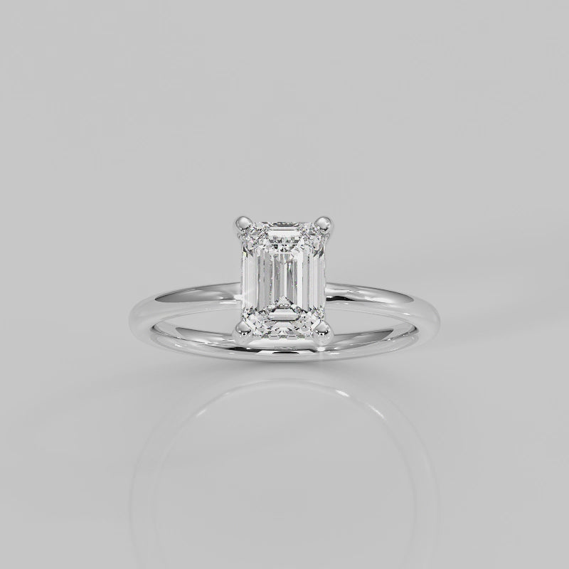 The Hidden Halo Signature V