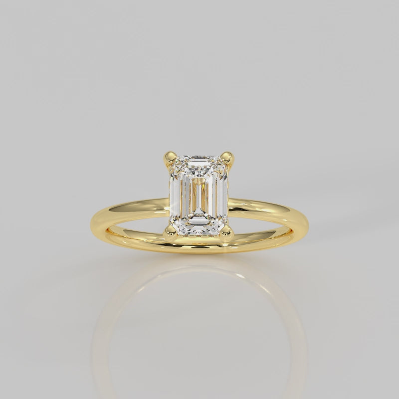 The Hidden Halo Signature V